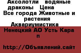 Аксолотли / водяные драконы › Цена ­ 500 - Все города Животные и растения » Аквариумистика   . Ненецкий АО,Усть-Кара п.